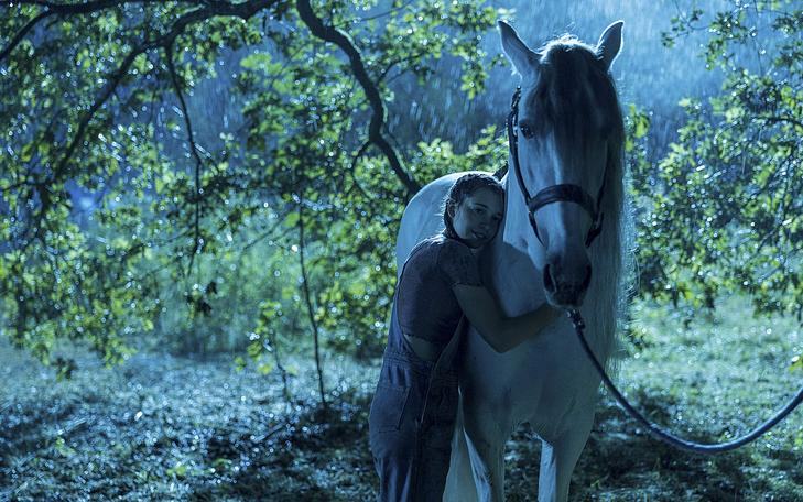 Кадр из фильма «Спирит», девочка обнимает белую лошадь в лесу