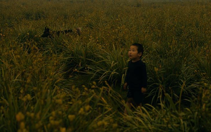 Кадр из фильма «Рай», ребенок стоит в поле