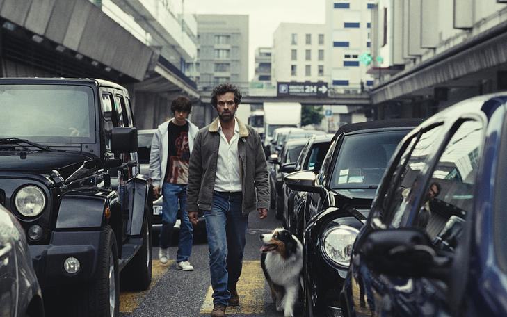 Кадр из фильма «Королевство зверей», мужчина с собакой идет по центру дороги вдоль рядов машин 