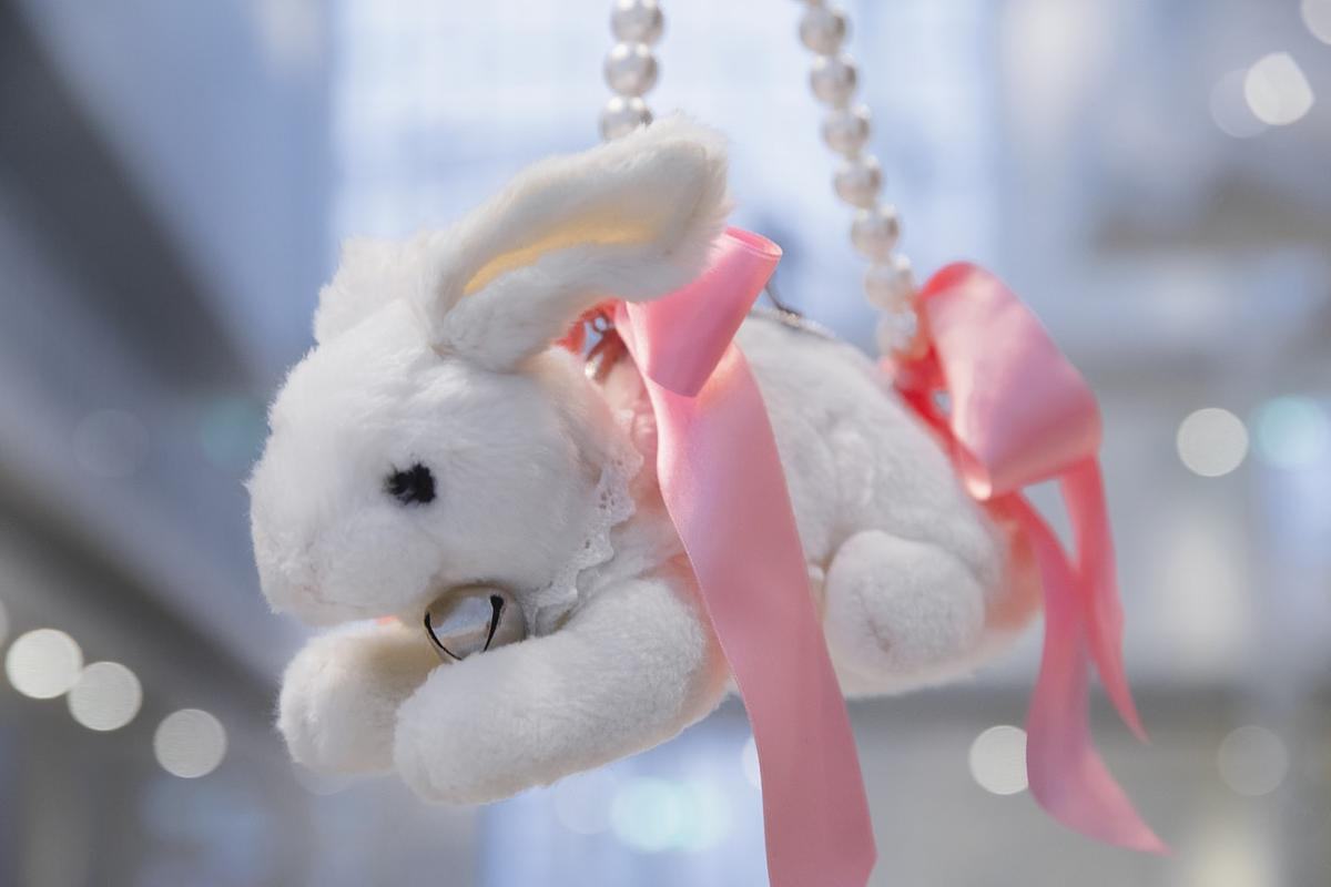Титульное изображение для страницы события: белый кролик, повязанный розовыми бантами