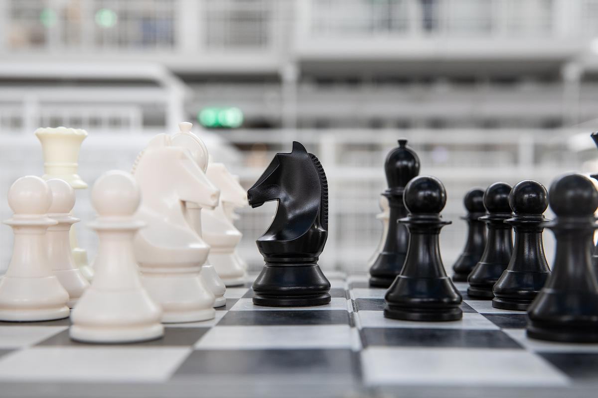 Шахматы на доске