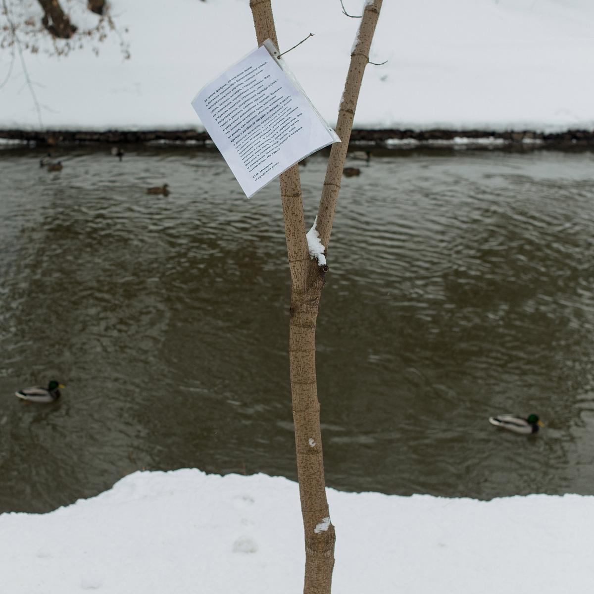Лист с текстом прибит к стволу дерева на берегу речки с заснеженными берегами
