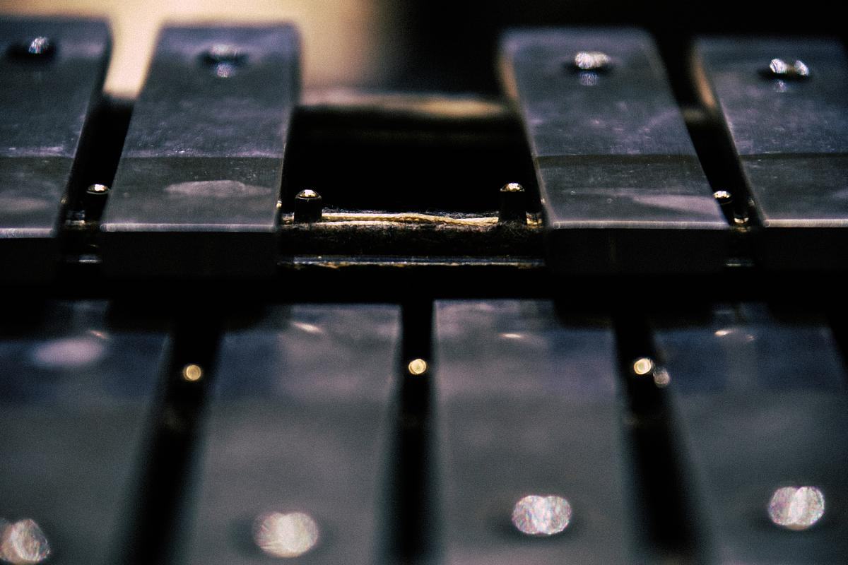 Фрагмент музыкального инструмента