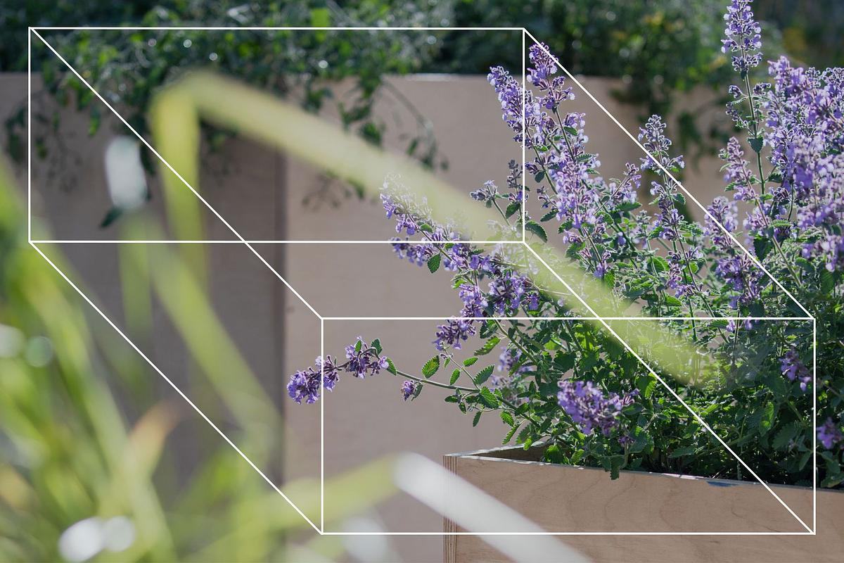 белый параллелепипед на фоне растений в кадках