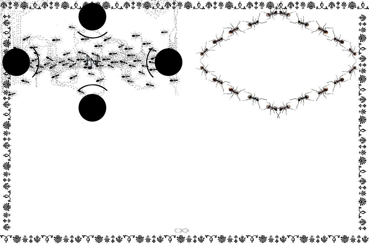 Черные круги и муравьи на нотном стане