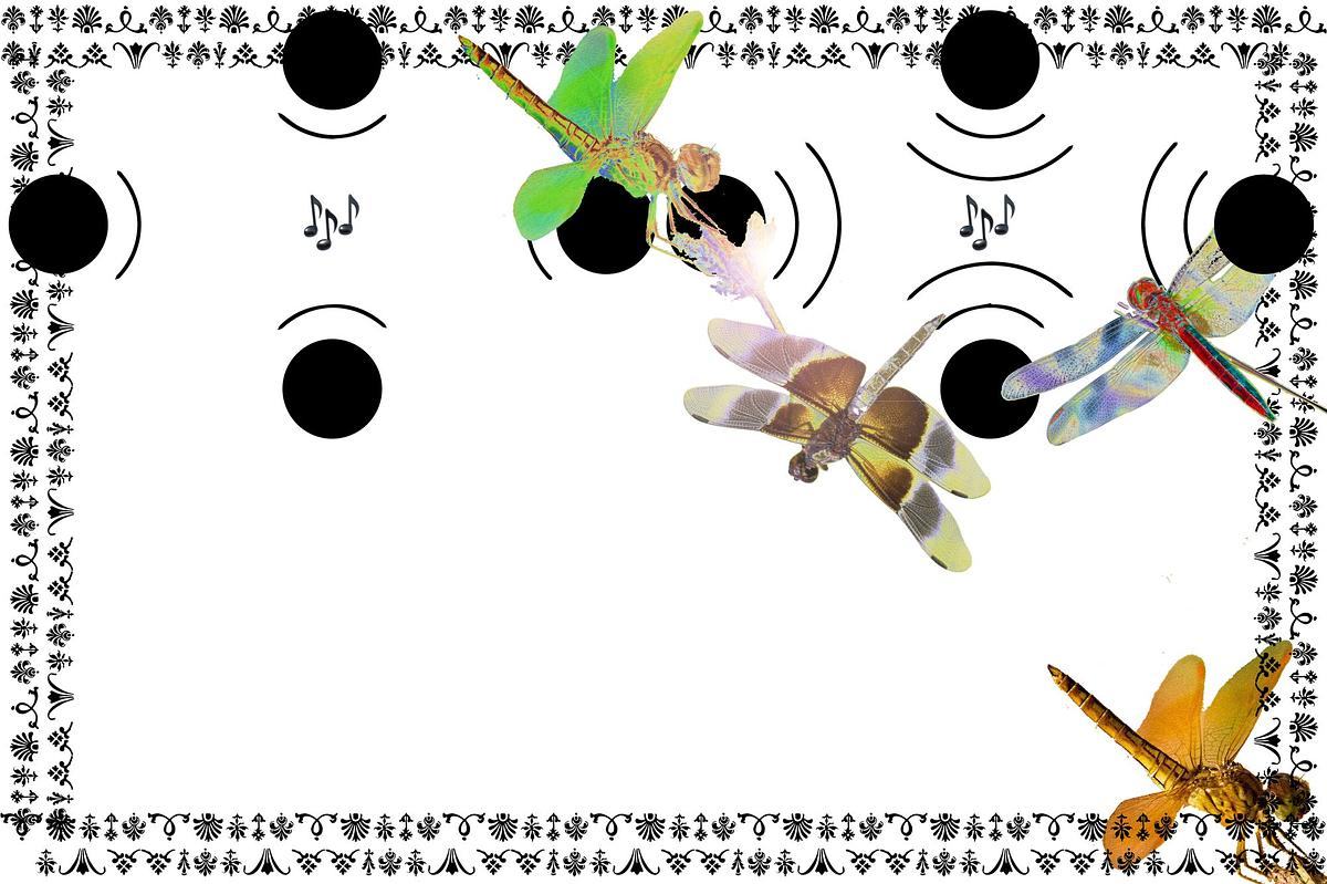 Черные круги и стрекозы на нотном стане