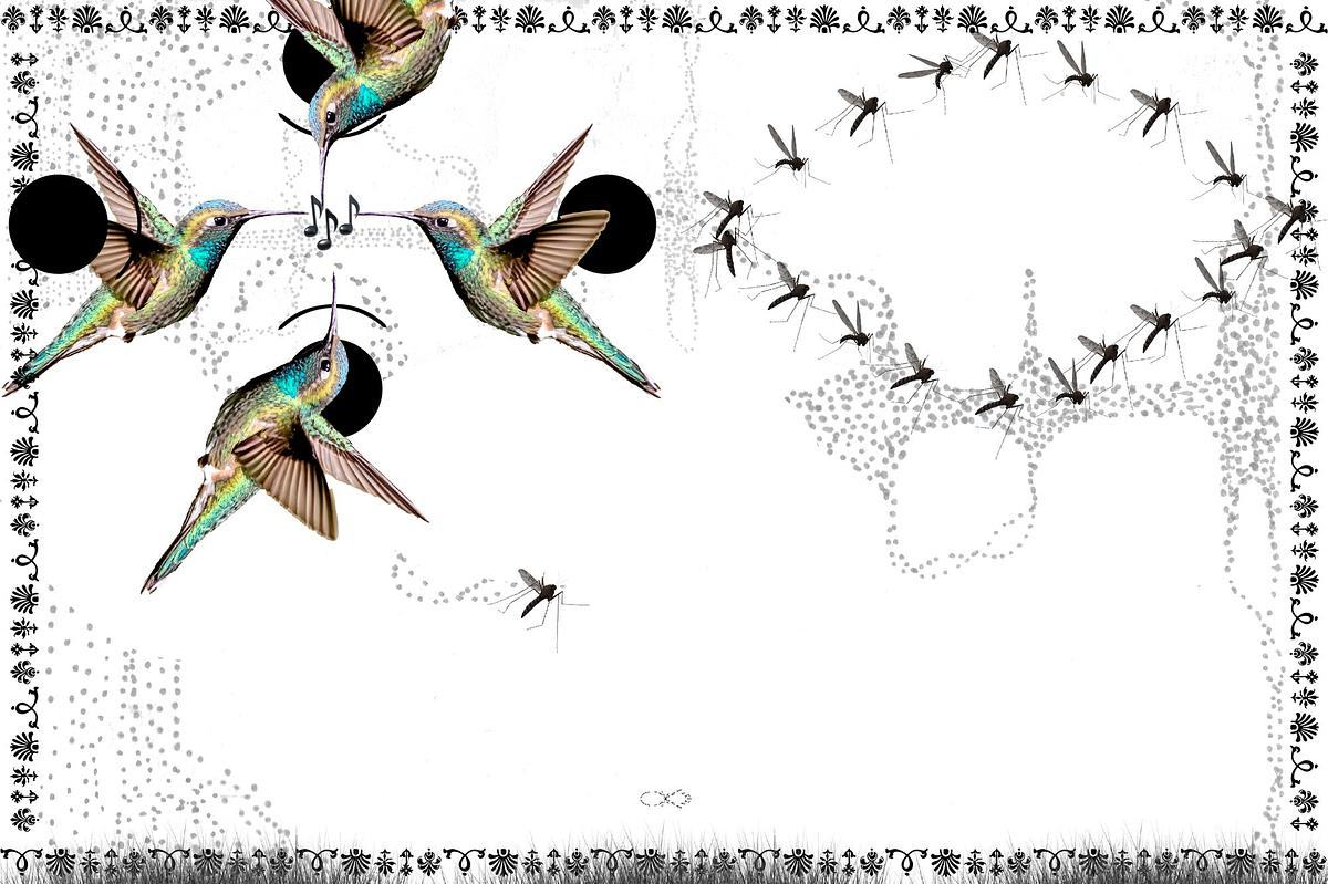 Колибри и комары в хороводах
