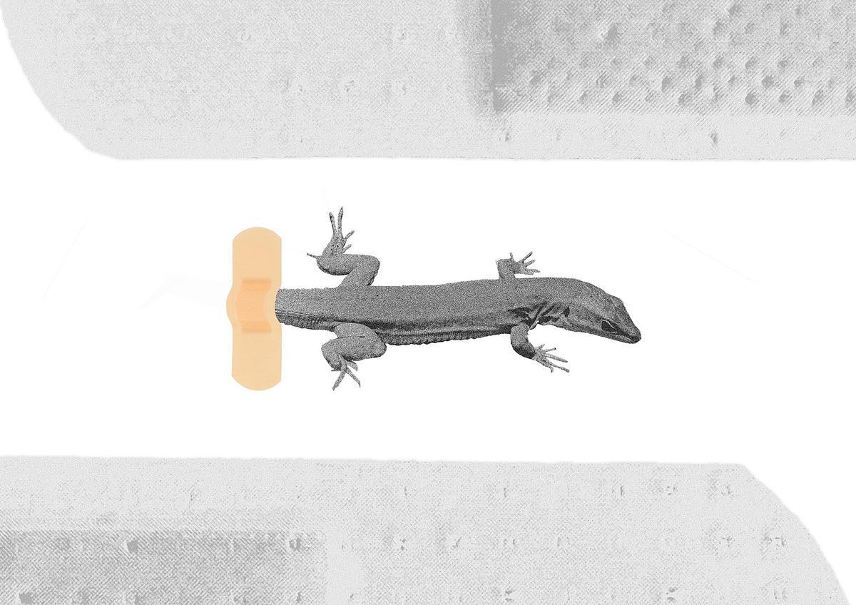 Коллаж, ящерица с приклеенным пластырем к полу хвостом