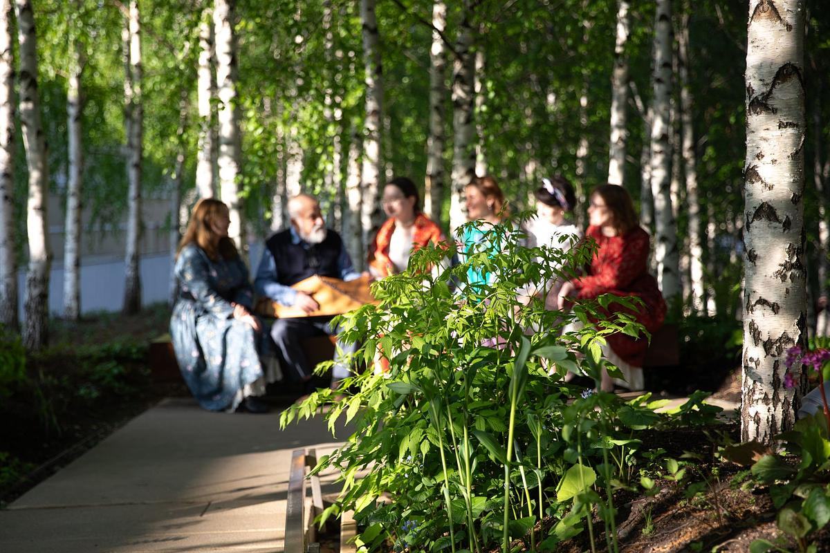 Группа людей с музыкальными инструментами в березовой роще