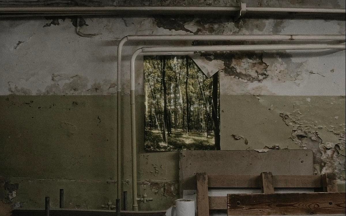 Кадр из фильма «Гнездо из бумаги», старая стена с видом на лес