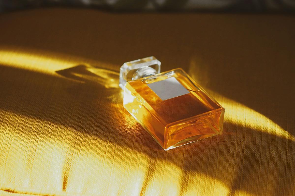 Фото. тень от растений и свет от окна на стене