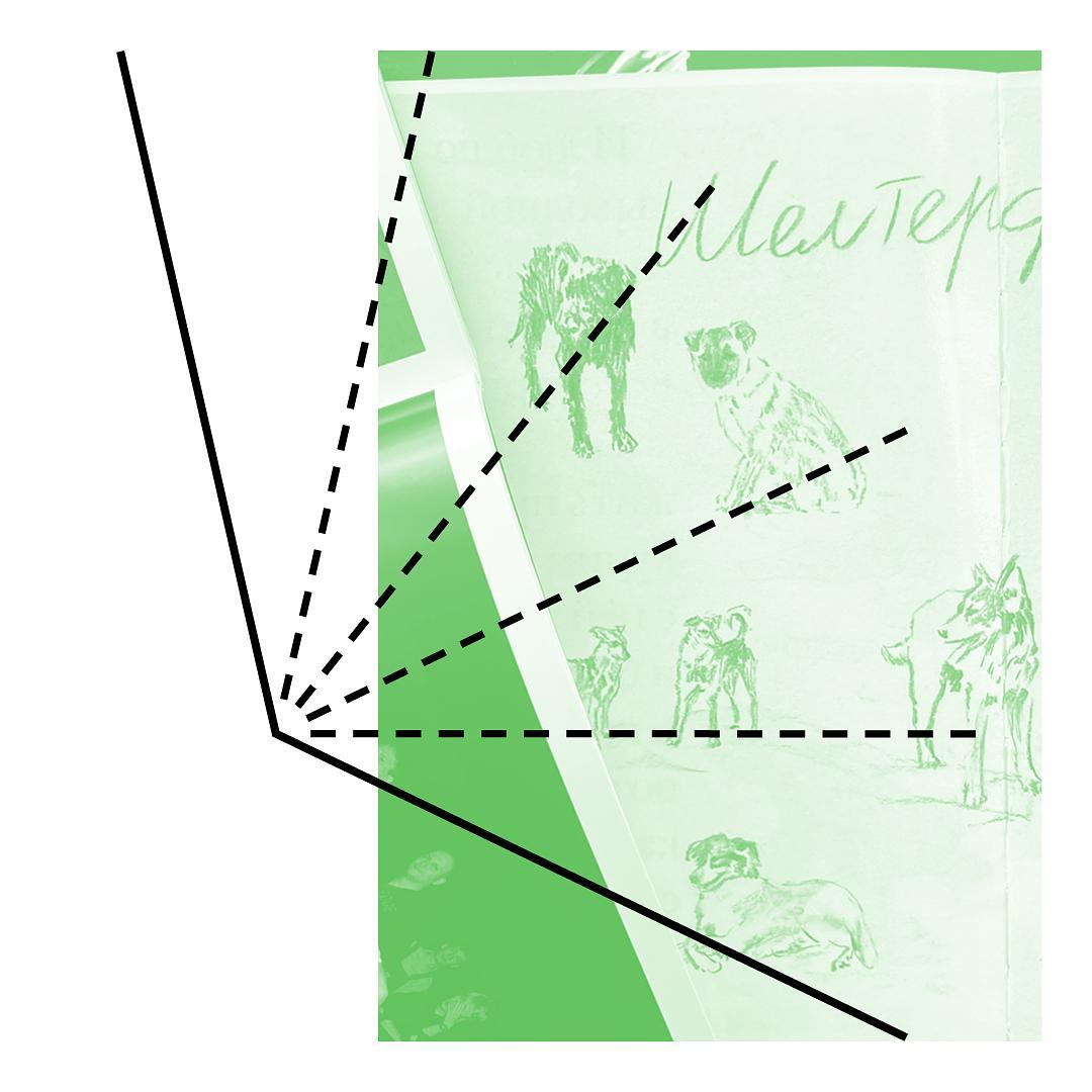 Коллаж в фирменном стиле фестиваля