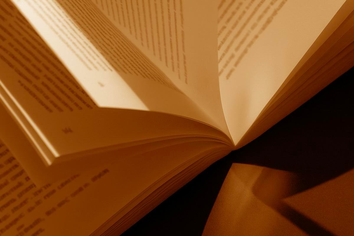 фото, разворот книги