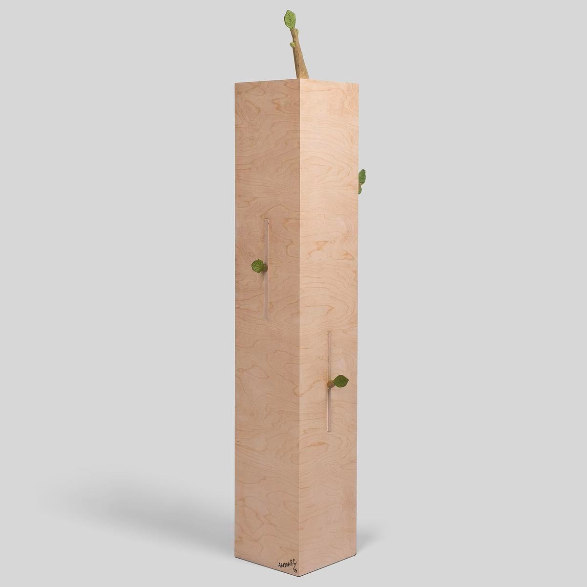 Фото: дерево