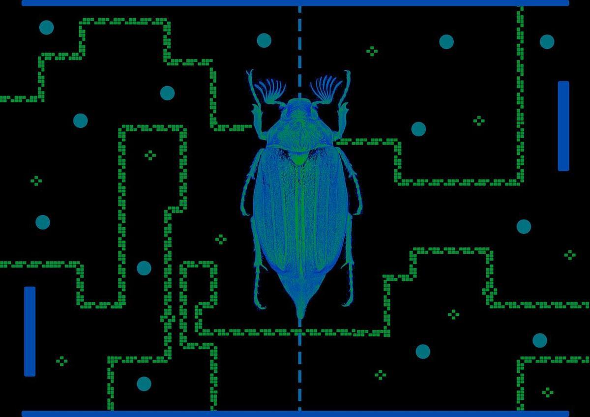 Жук на фоне пиксельных карт