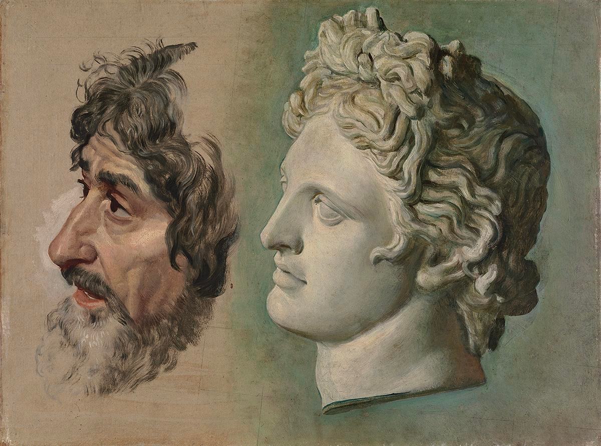 Голова Аполлона Бельведерского и мужская голова с седой бородой