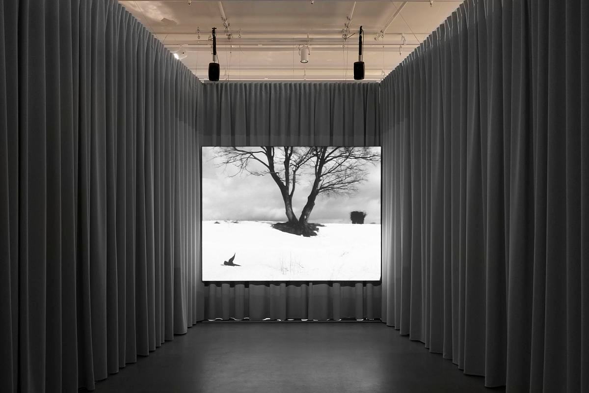 Фото, экан с фото на фоне серых штор