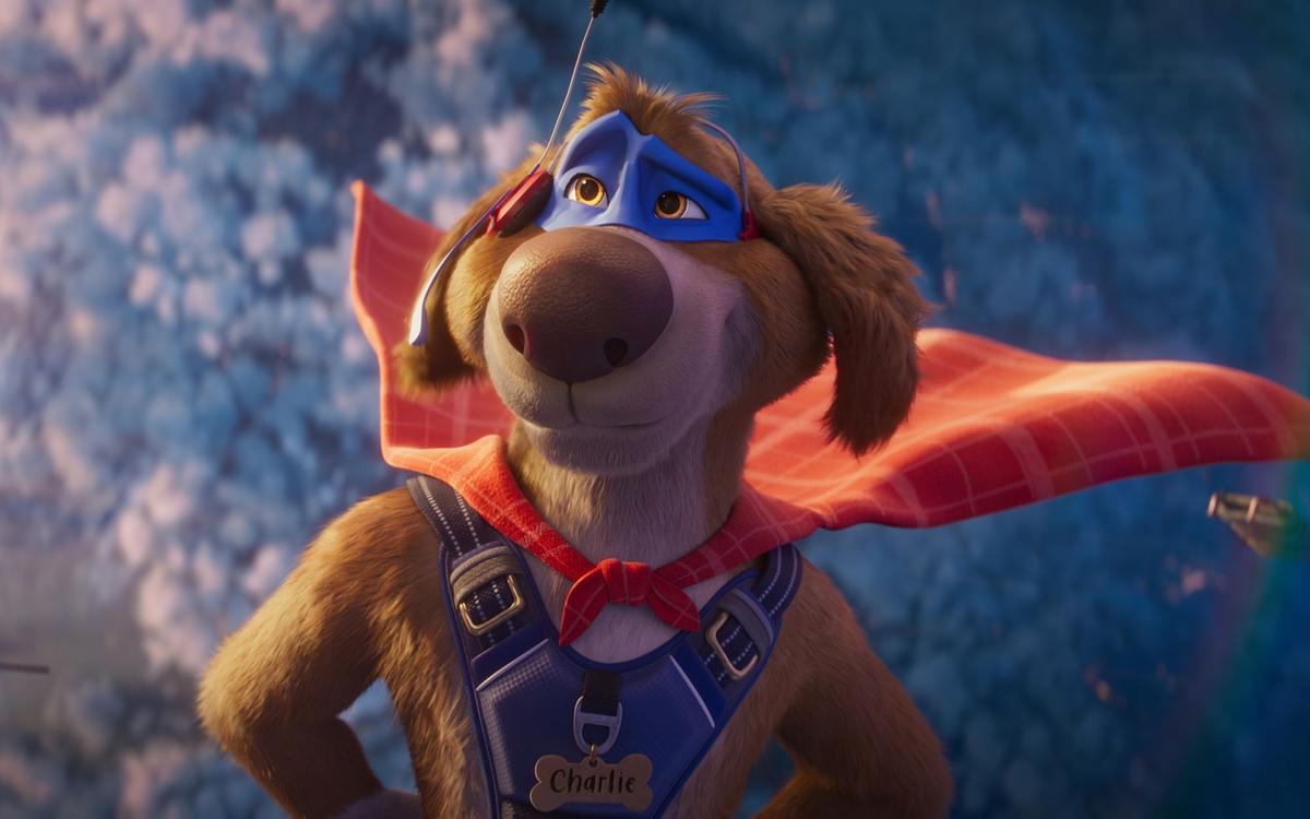 Кадр из фильма «Чарли Чудо-пес», пес с синей маской на глазах и с красным плащом