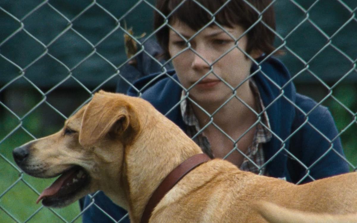 Кадр из фильма «Венди и Люси», девочка смотрит на собаку