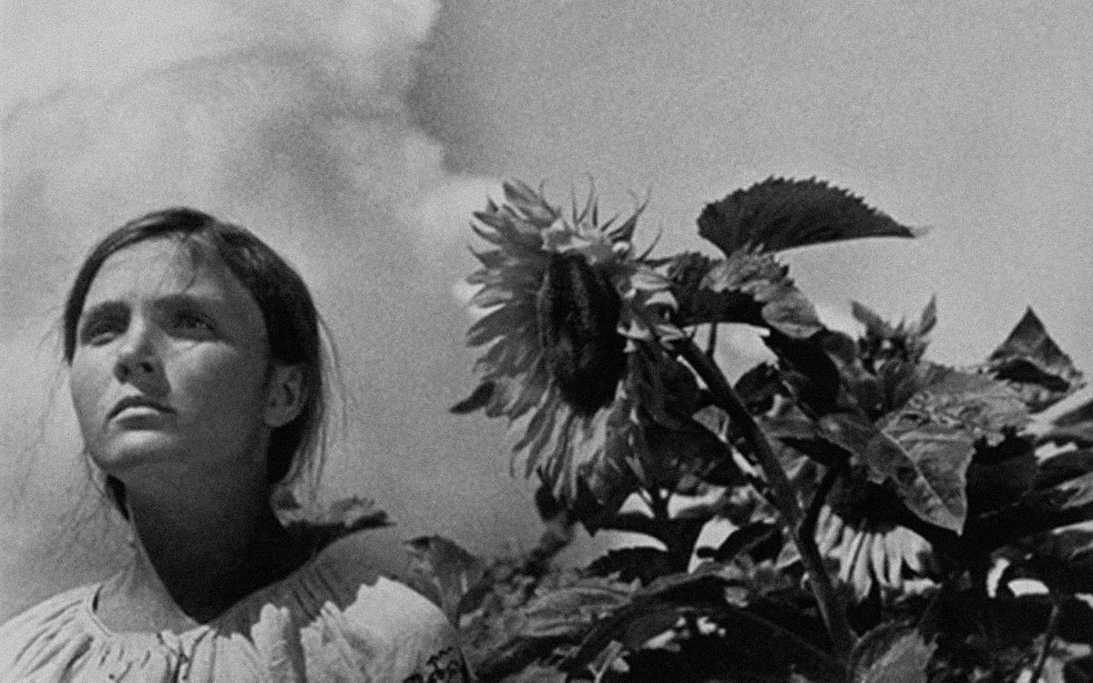 Кадр из фильма «Земля», лицо девушки крупным планом рядом с подсолнухом