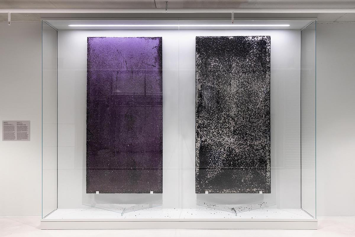 Alexandra Sukhareva. Beginnings