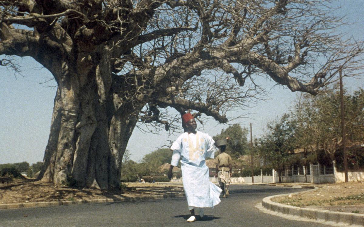 Титульное изображение для страницы события: кадр из фильма «Денежный перевод», мужчина в красной феске идет по дороге мимо большого дерева